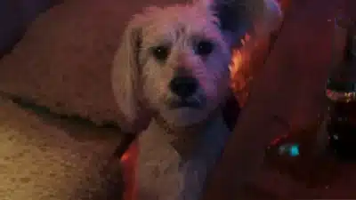 Imagem do post relacionado, leia tambem!