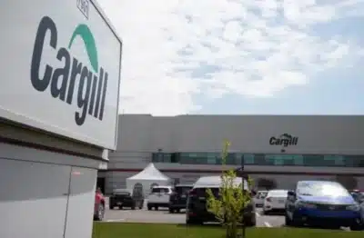 Imagem do post relacionado, leia tambem!