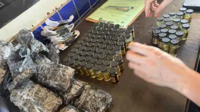 Imagem do post relacionado, leia tambem!