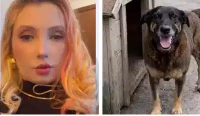 Imagem do post relacionado, leia tambem!