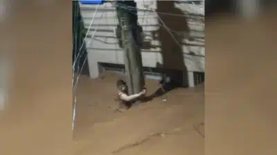 Imagem do post relacionado, leia tambem!