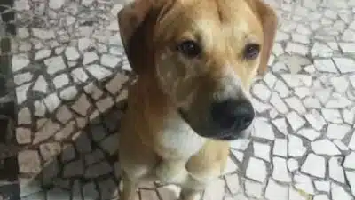 Imagem do post relacionado, leia tambem!