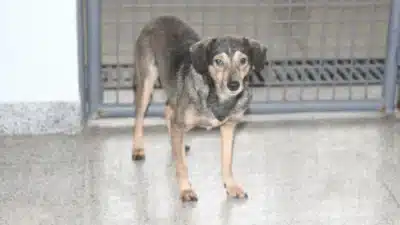 Imagem do post relacionado, leia tambem!