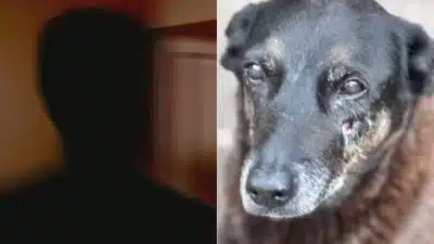 Imagem do post relacionado, leia tambem!