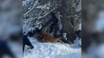 Imagem do post relacionado, leia tambem!