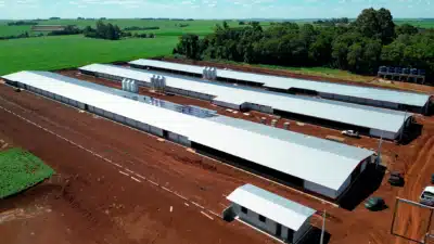 Imagem do post relacionado, leia tambem!