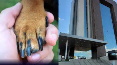 Imagem do post relacionado, leia tambem!