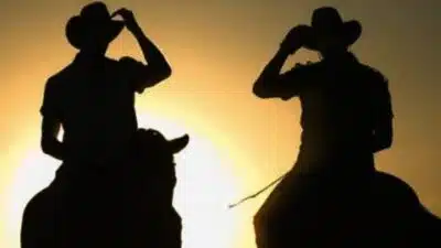 Imagem do post relacionado, leia tambem!