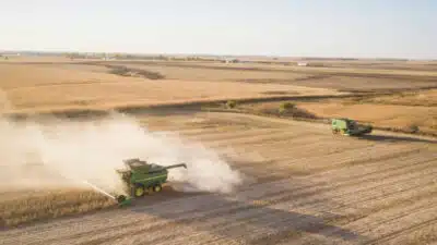 Imagem do post relacionado, leia tambem!