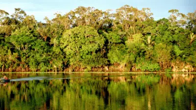 Imagem do post relacionado, leia tambem!