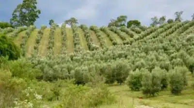 Imagem do post relacionado, leia tambem!