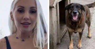 Imagem do post relacionado, leia tambem!