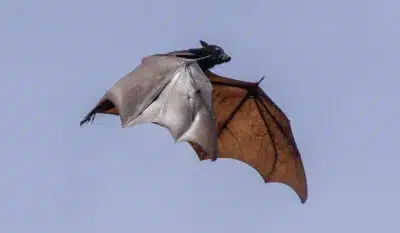 Imagem do post relacionado, leia tambem!