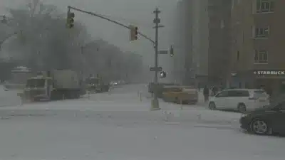 Imagem do post relacionado, leia tambem!