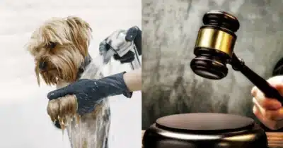 Imagem do post relacionado, leia tambem!