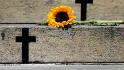 Imagem do post relacionado, leia tambem!