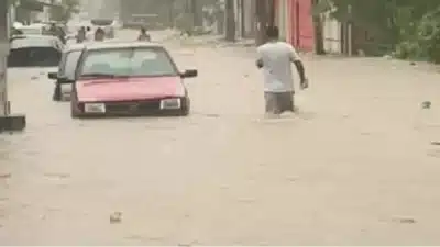 Imagem do post relacionado, leia tambem!