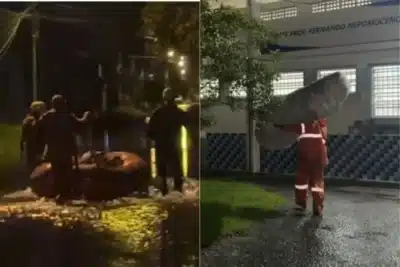 Imagem do post relacionado, leia tambem!