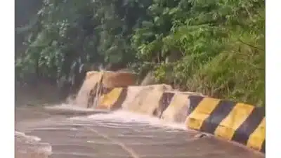 Imagem do post relacionado, leia tambem!