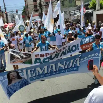 Imagem do post relacionado, leia tambem!