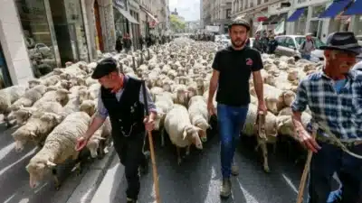 Imagem do post relacionado, leia tambem!