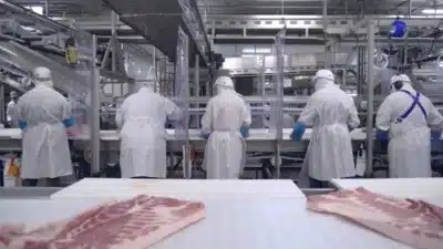 Imagem do post relacionado, leia tambem!