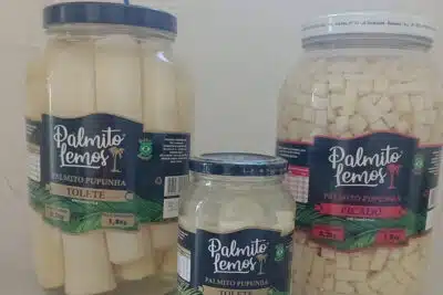 Imagem do post relacionado, leia tambem!