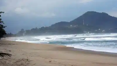 Imagem do post relacionado, leia tambem!