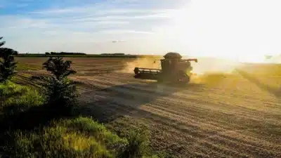 Imagem do post relacionado, leia tambem!