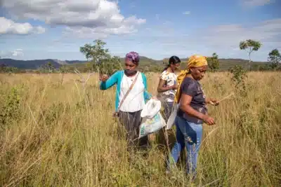 Imagem do post relacionado, leia tambem!