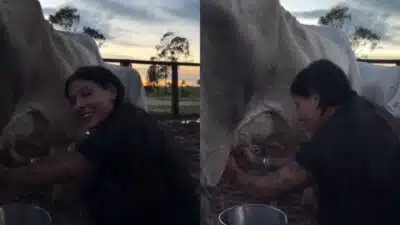 Imagem do post relacionado, leia tambem!