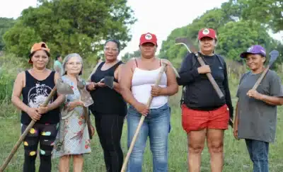 Imagem do post relacionado, leia tambem!