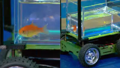 Imagem do post relacionado, leia tambem!