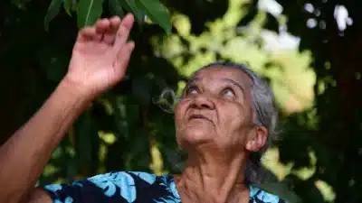 Imagem do post relacionado, leia tambem!