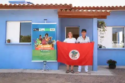 Imagem do post relacionado, leia tambem!