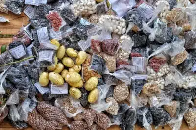 Imagem do post relacionado, leia tambem!