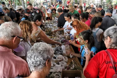 Imagem do post relacionado, leia tambem!