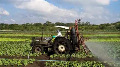 Imagem do post relacionado, leia tambem!