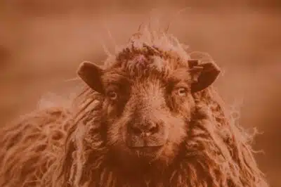 Imagem do post relacionado, leia tambem!