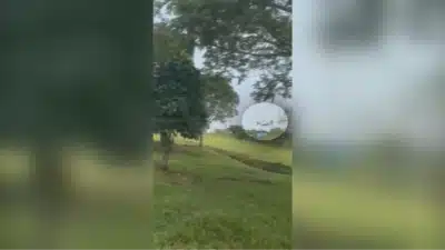 Imagem do post relacionado, leia tambem!