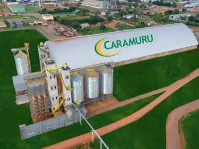 Imagem do post relacionado, leia tambem!