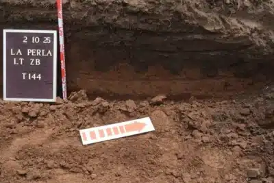 Imagem do post relacionado, leia tambem!