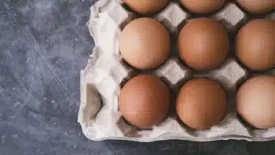 Imagem do post relacionado, leia tambem!