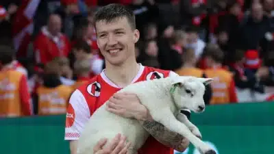 Imagem do post relacionado, leia tambem!