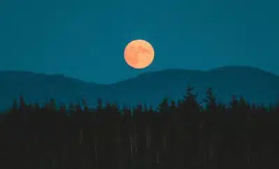 Imagem do post relacionado, leia tambem!