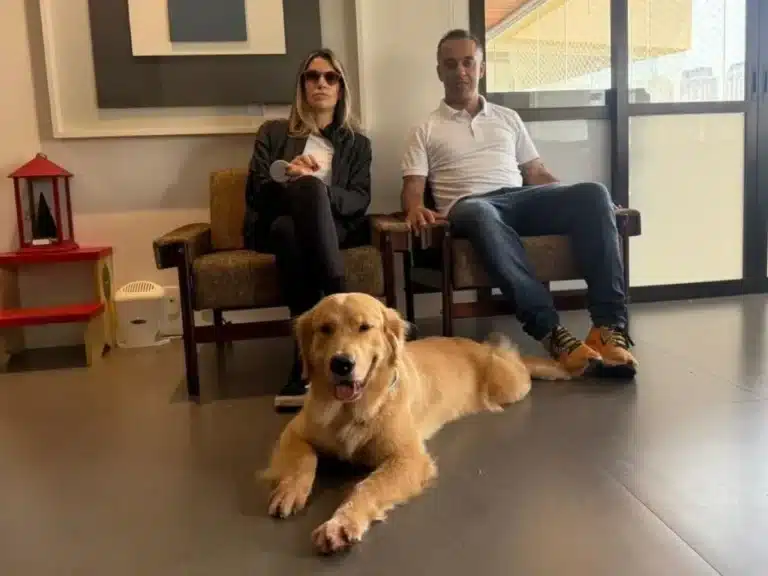 Mariana Ruiz e Granola: como uma golden retriever salva vidas ao detectar glicose!