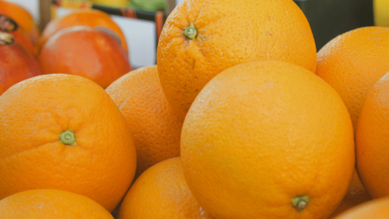 Citricultura em Crise: Doença Devasta a Produção de Citros no Brasil!