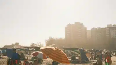 Imagem do post relacionado, leia tambem!